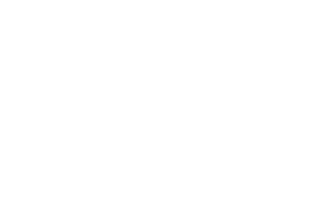 logo adere lagos